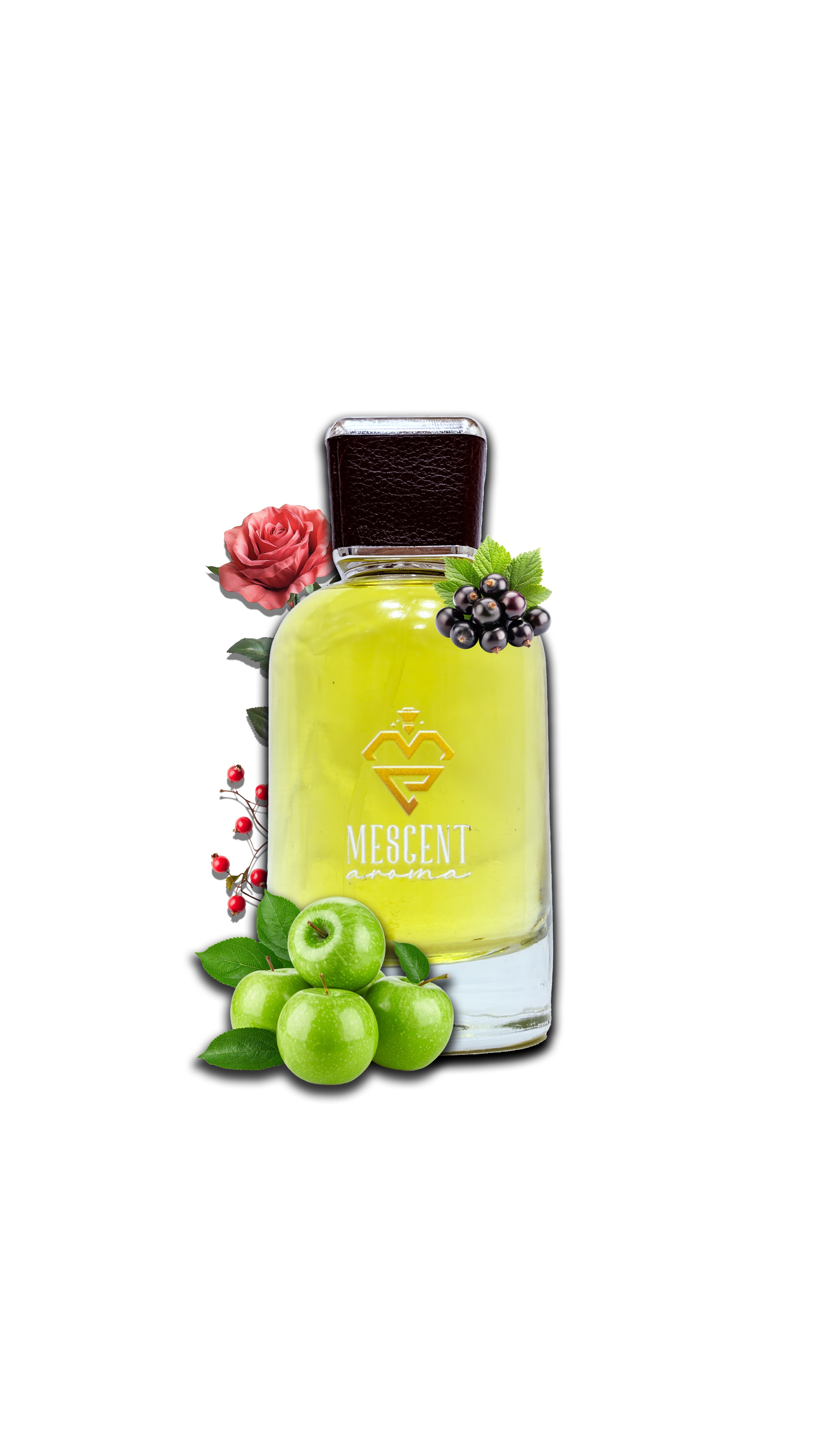 Victor Noir – The Shadow of Confidence