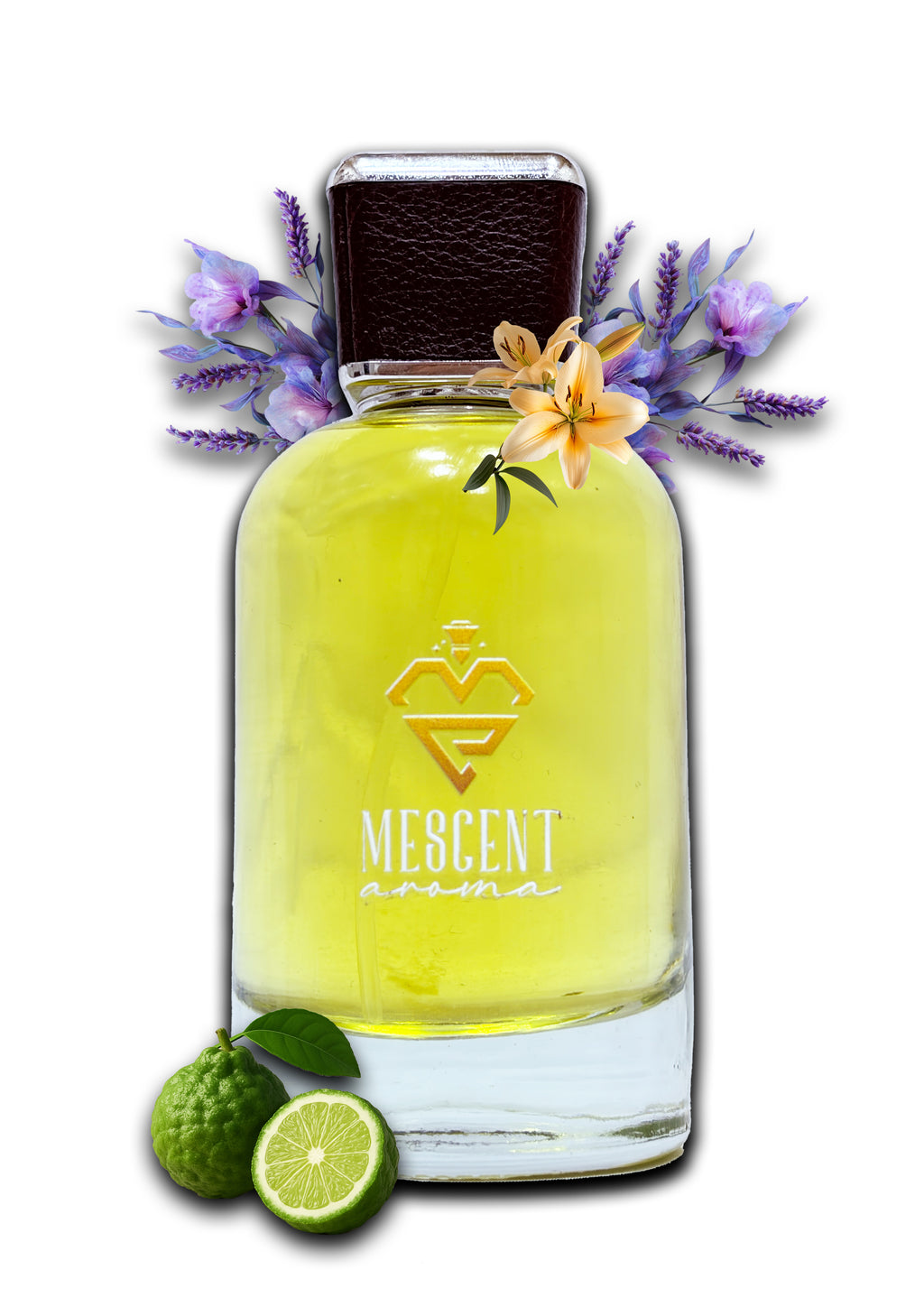 Noir Sauvra – Bergamot Flame, Vanilla Depth