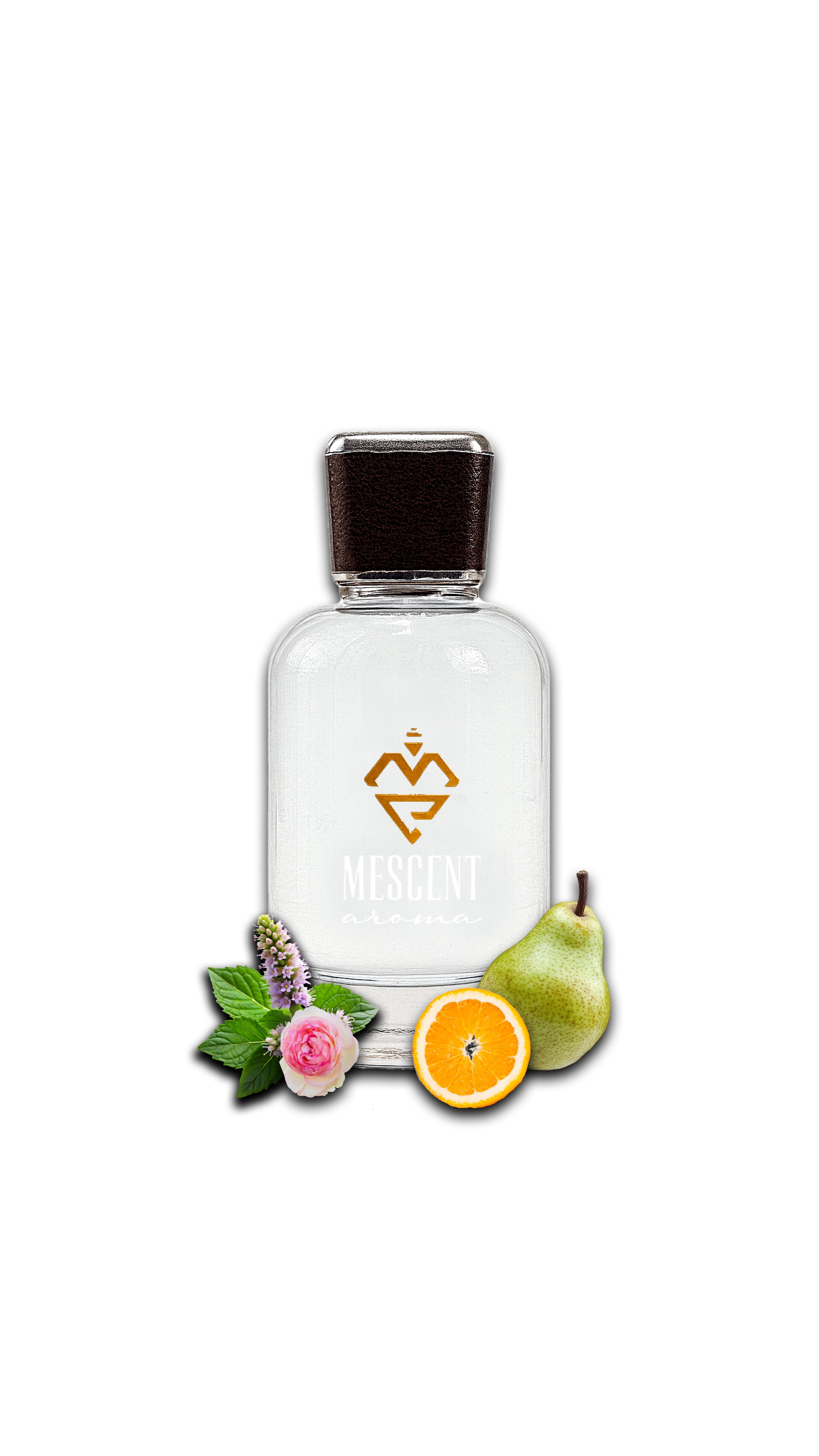 Floria – A Floral Dream in Every Spray