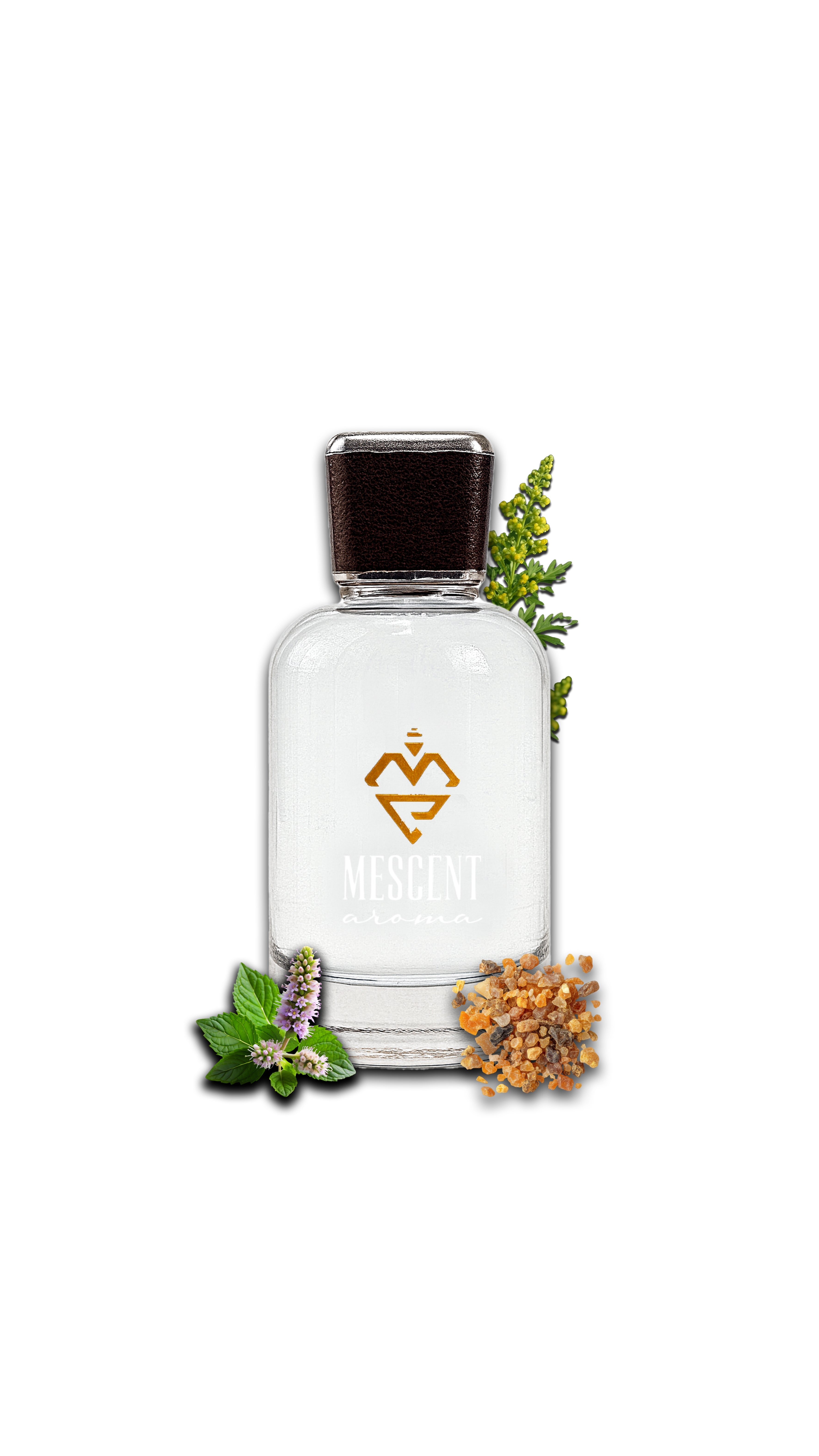 Nova Fresh – The Fresh Energy Booste