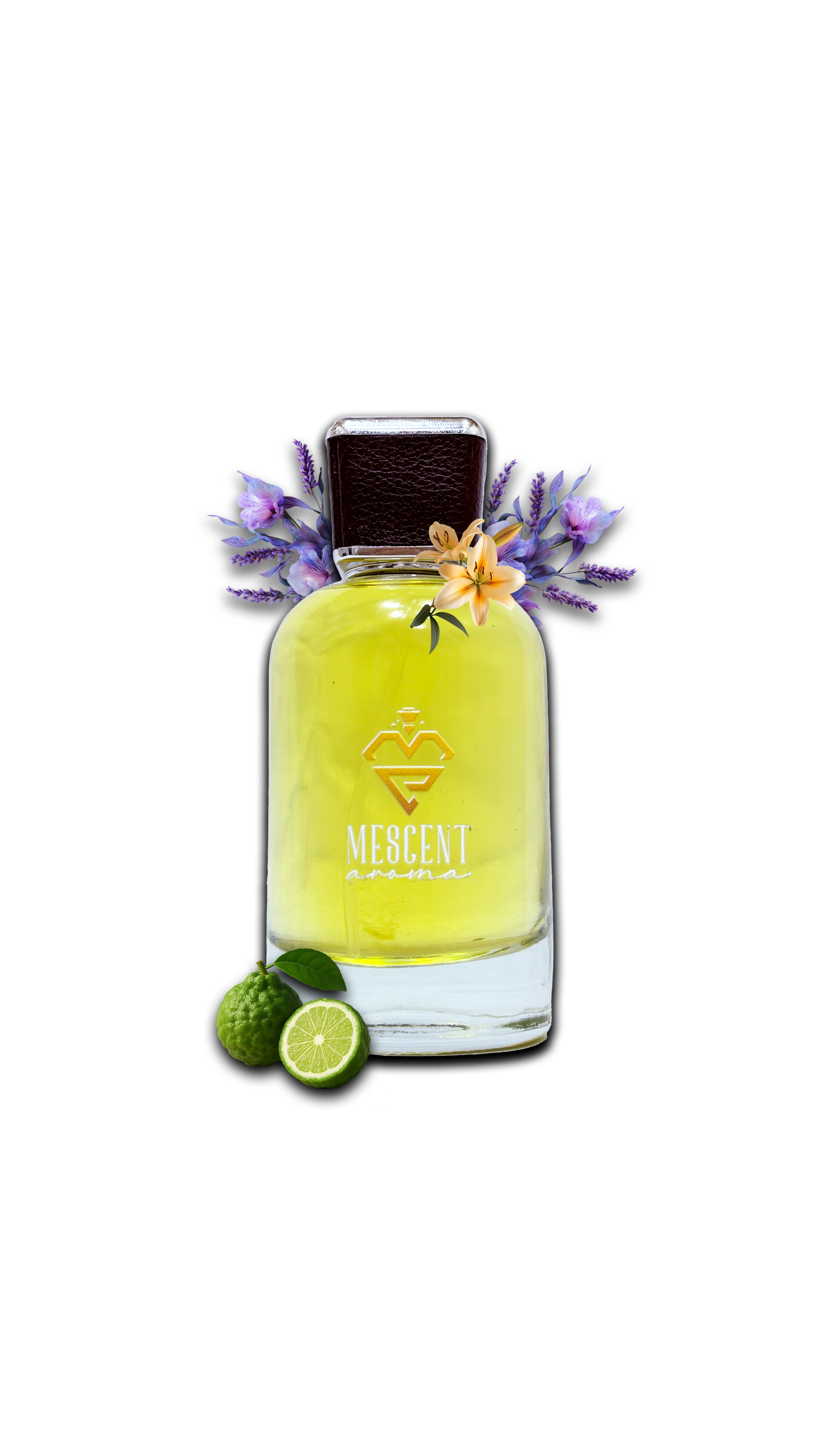 Noir Sauvra – Bergamot Flame, Vanilla Depth