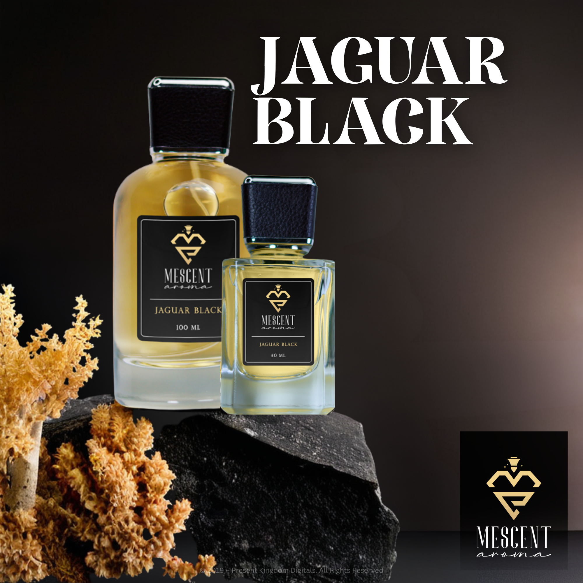 Jaguar Classic Black