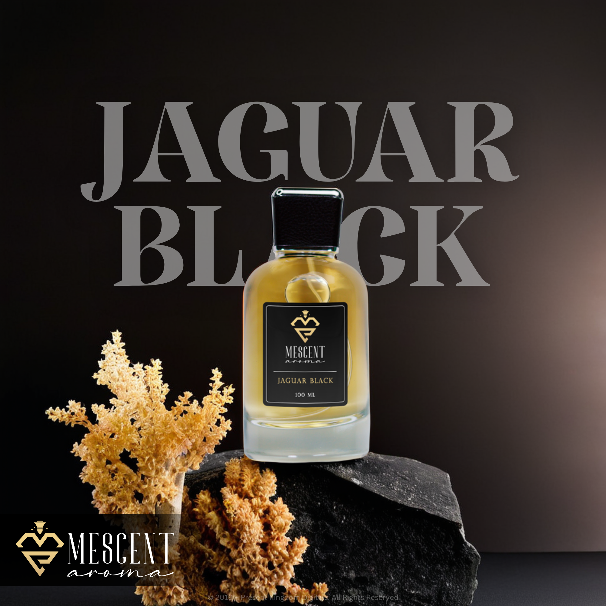 Jaguar Classic Black