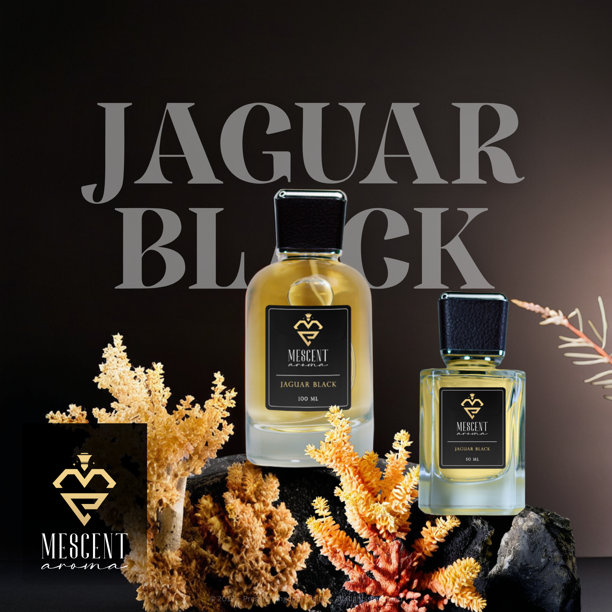 Jaguar Classic Black