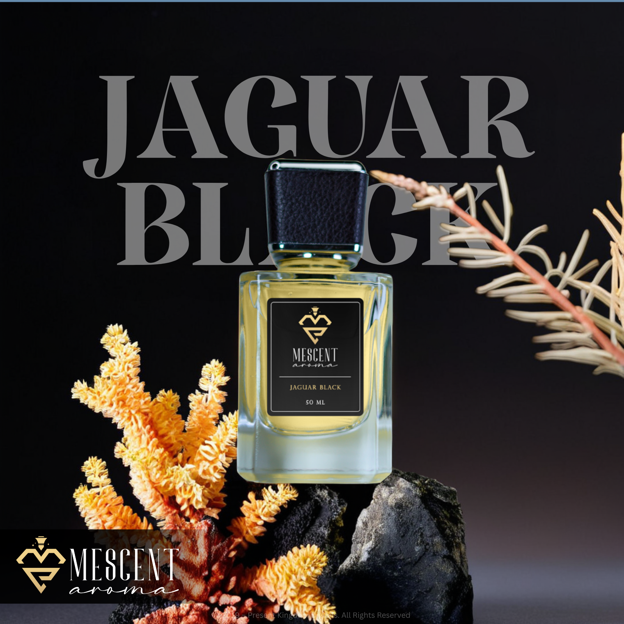 Jaguar Classic Black