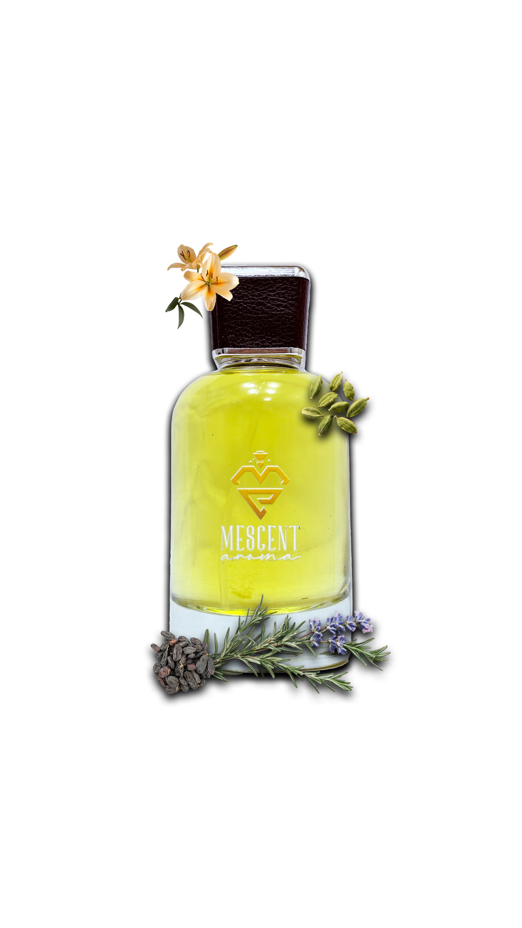 Crush – The Instant Attraction