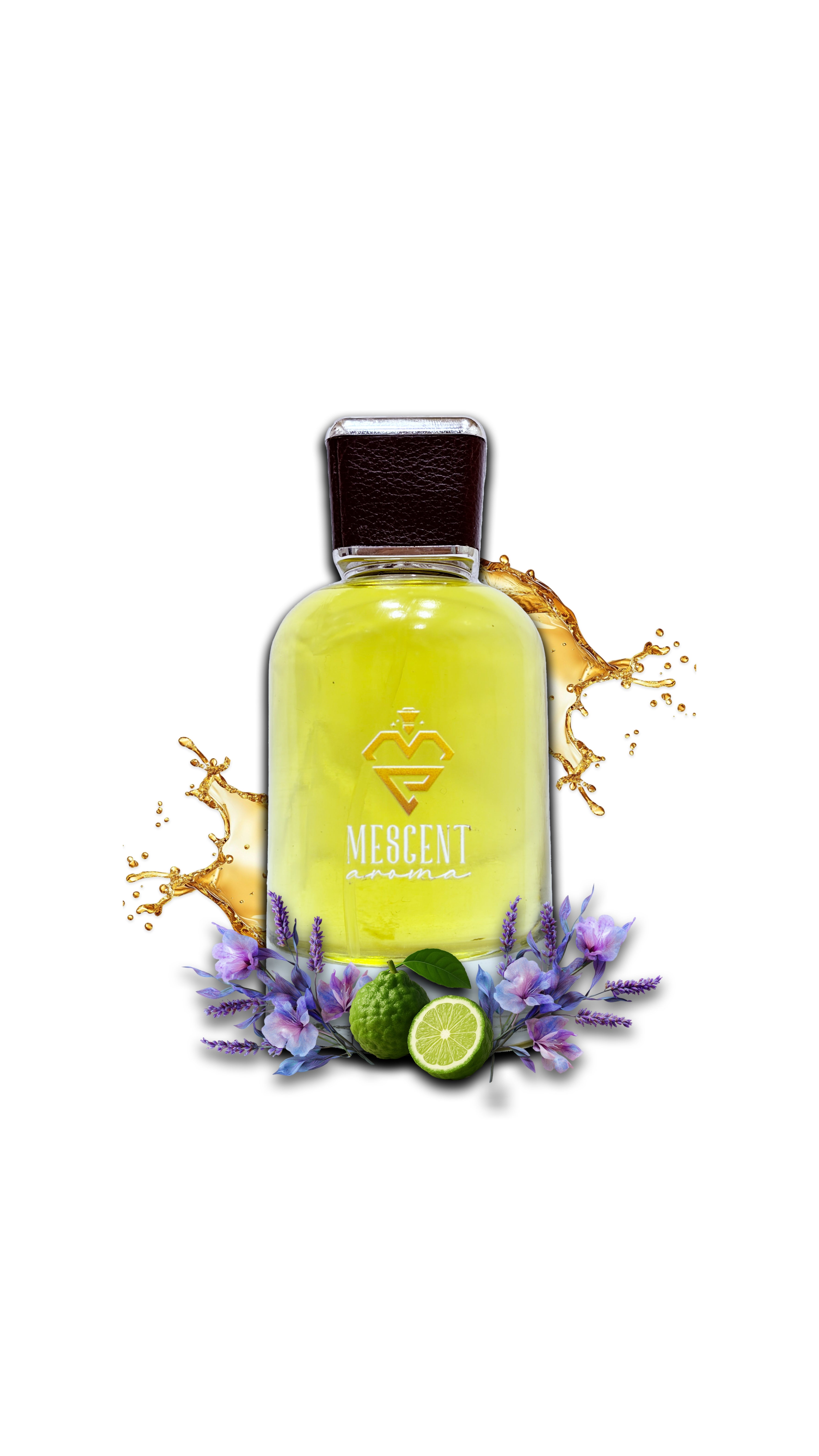 Crave – The Power of Attraction