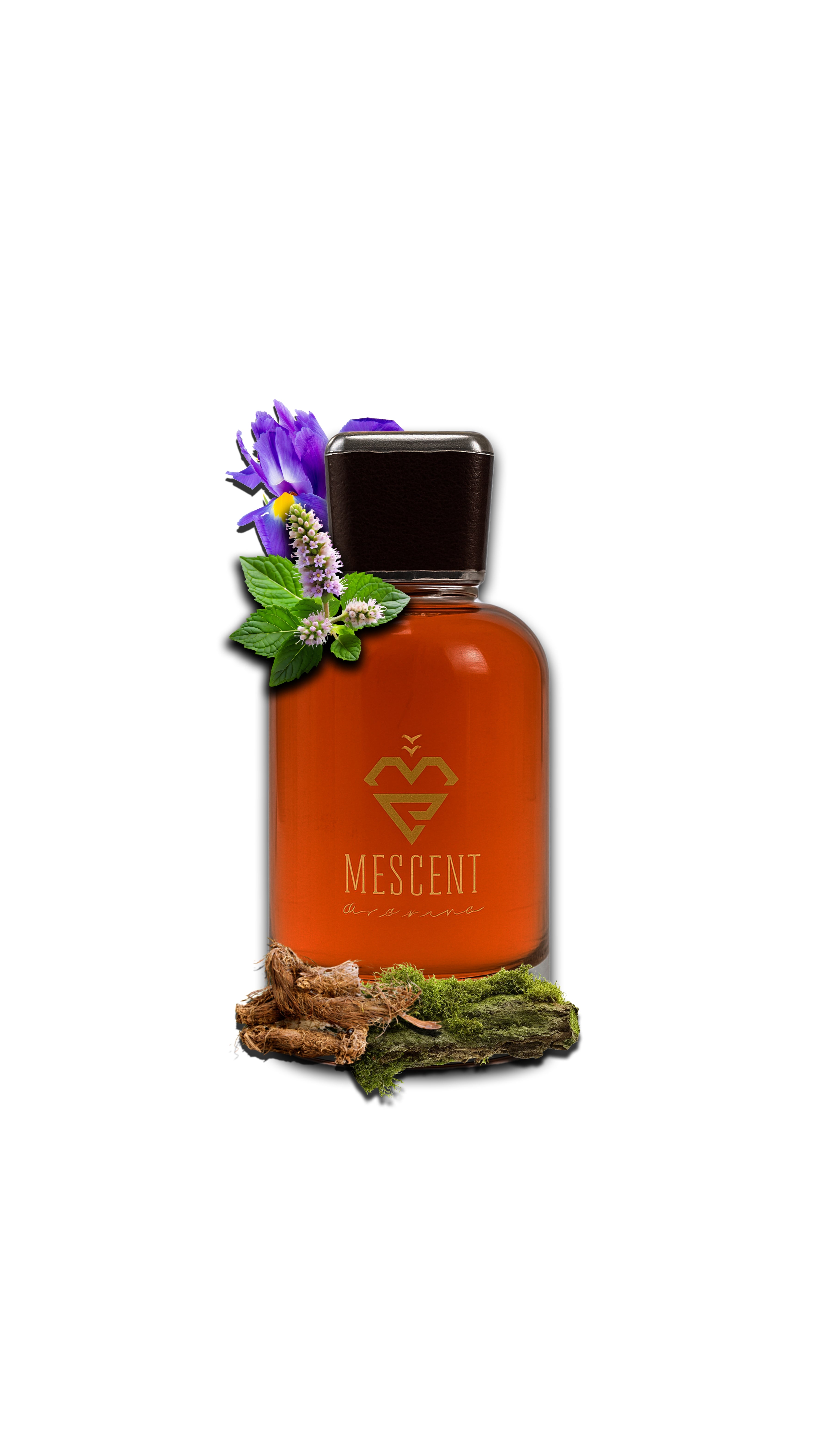 Elysium Oud – Oud of the Gods