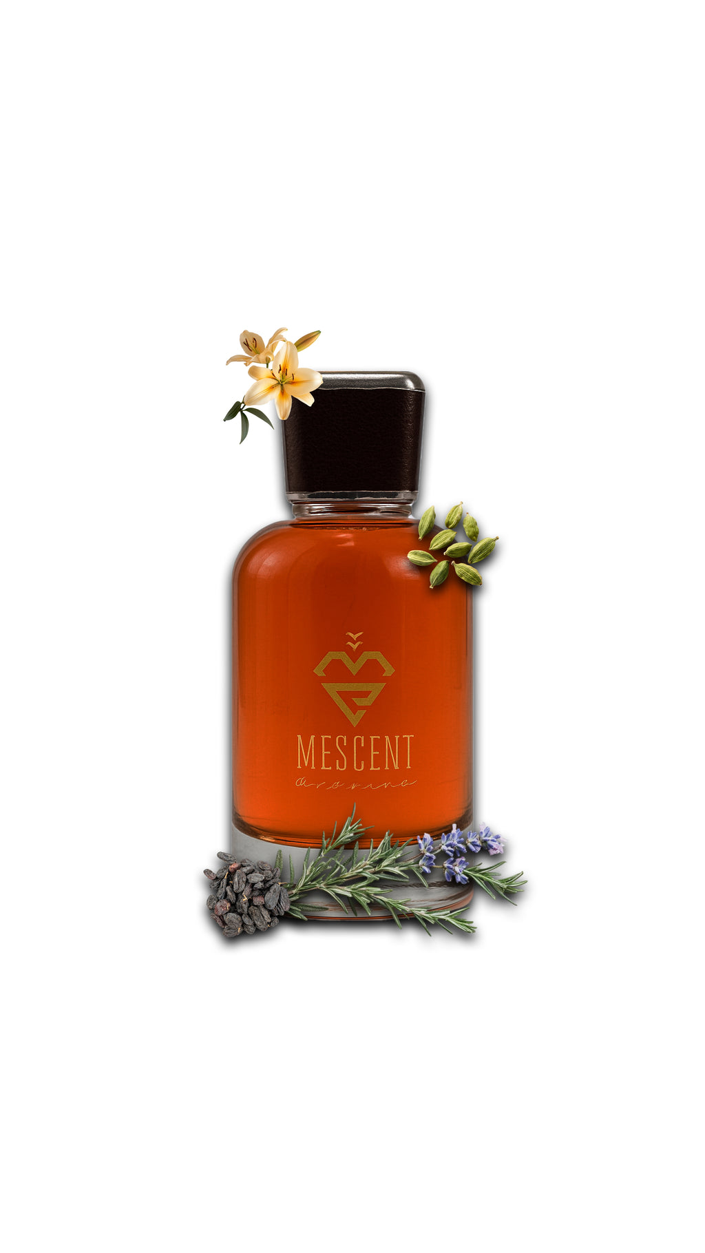 Mystic Oud – The Hidden Power of Oud