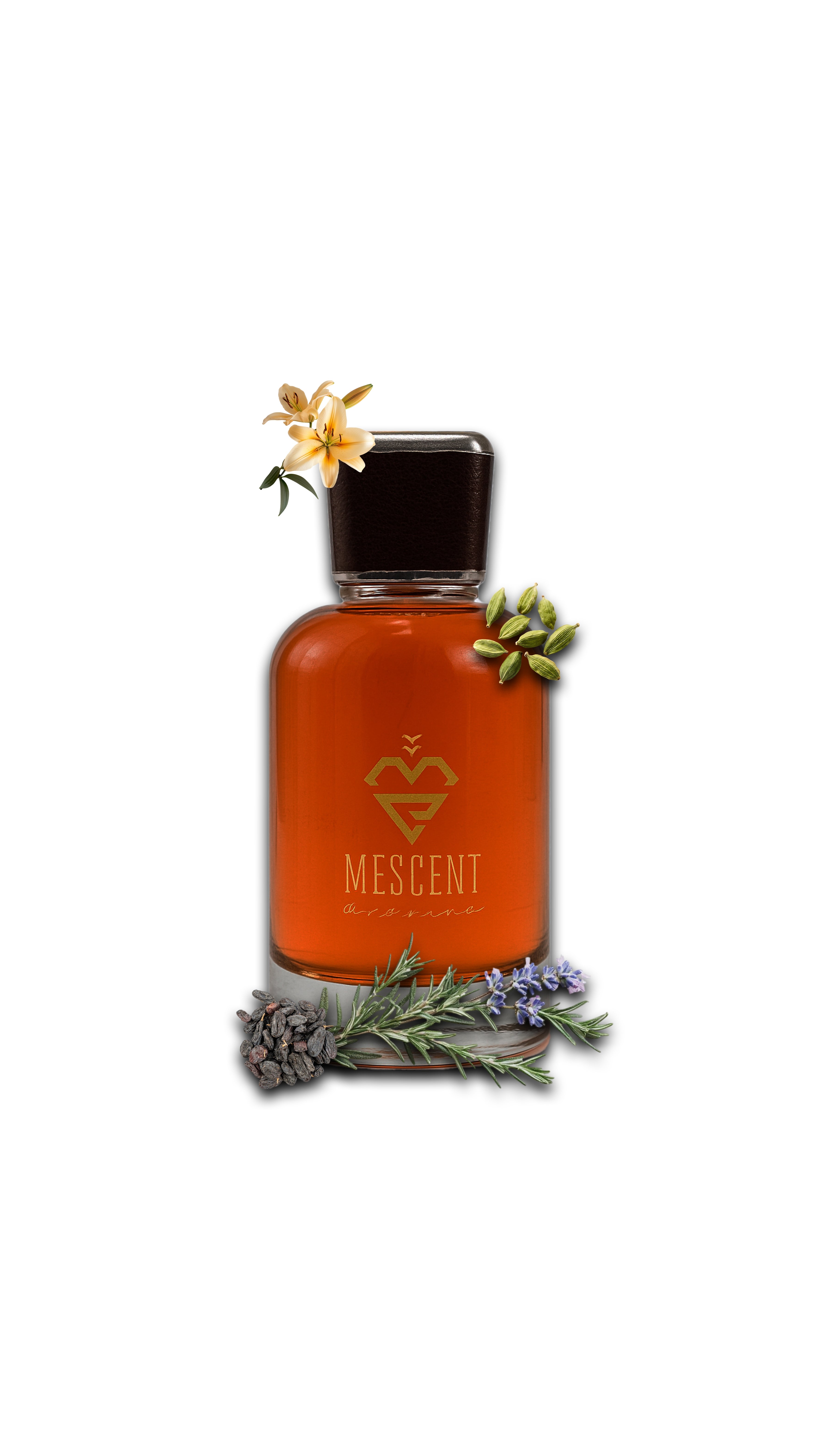 Mystic Oud – The Hidden Power of Oud