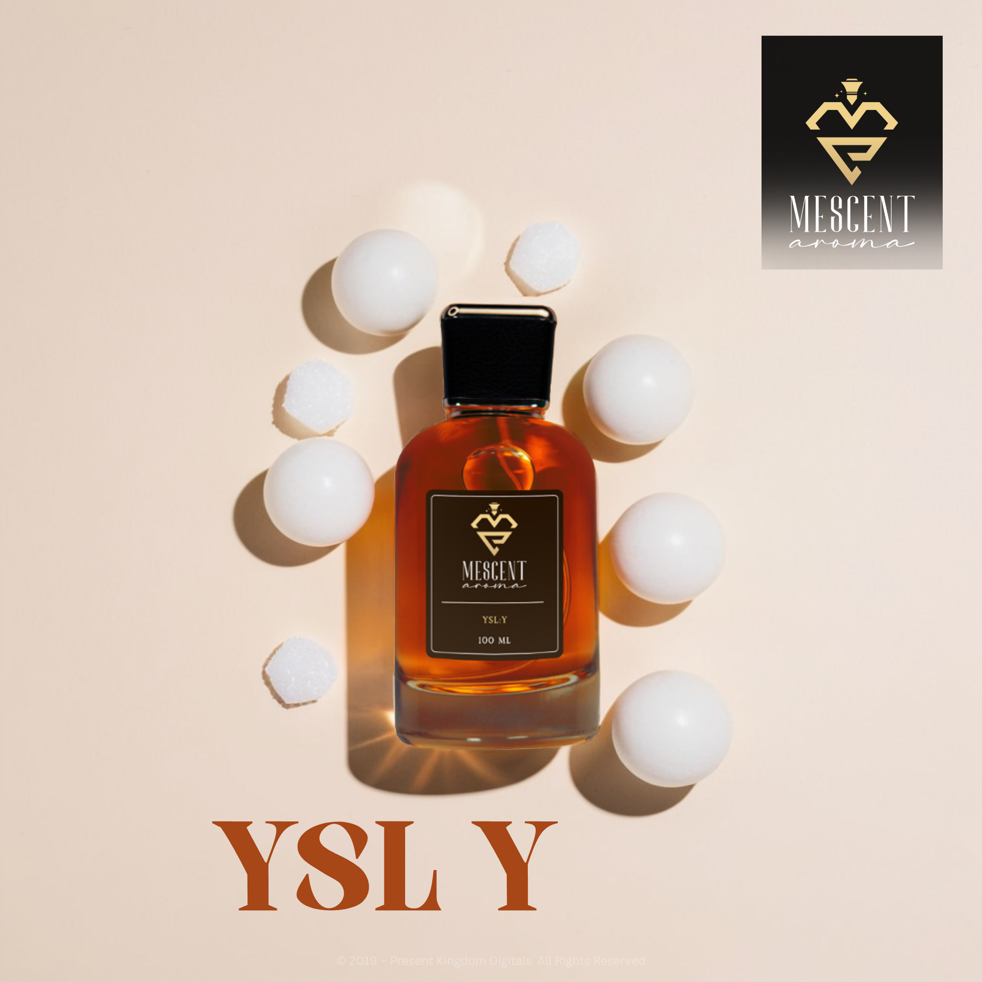 YSL Y